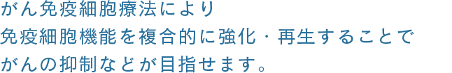 キャッチコピー