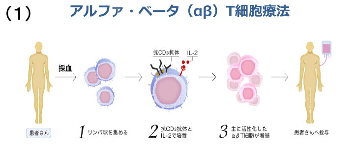アルファ・ベータT細胞療法