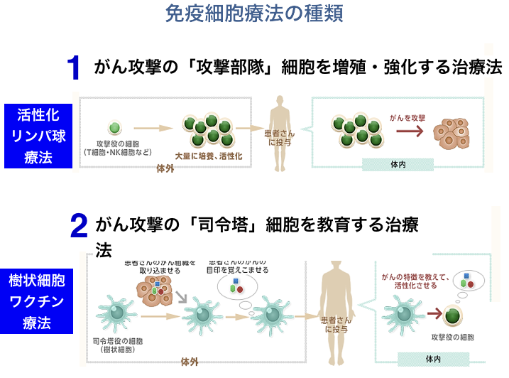 NK細胞治療