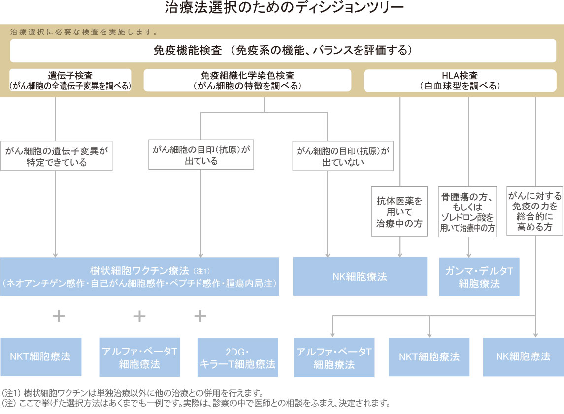 診療イメージ